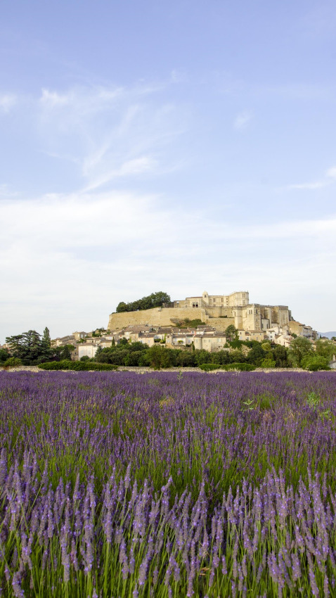 Vista de un campo de lavanda y al fondo un pueblo histórico con un castillo en Auvernia-Ródano-Alpes, Francia.