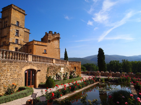 Castello di pietra con giardino fiorito e stagno, tra le colline della Provenza, Francia.