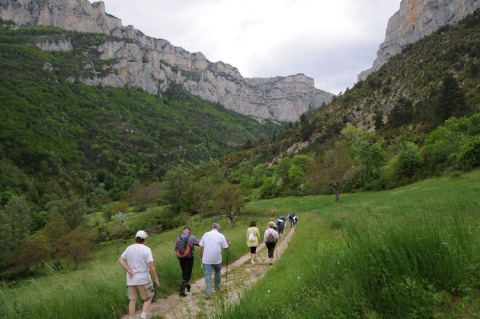 Grupo de personas caminando por un sendero entre montañas verdes en Flower Camping la Pinède, Francia.