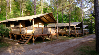 Safari tenten Lodge Insolite Pinède 34 m² tussen de bomen, met houten terrassen en bosrijke natuur.