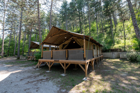 Safari tent Lodge Insolite Pinède 46m² omringd door hoge dennenbomen op een rustige boscamping.