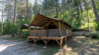 Safari tent Lodge Insolite Pinède 46m² tussen hoge dennenbomen op een rustige bosrijke camping.