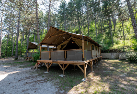 Safari tent Lodge Insolite Pinède 46m² omringd door hoge dennenbomen op een rustige boscamping.