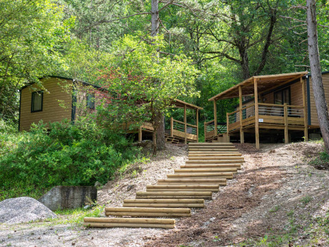 Marches en bois menant au lodge Mobile Home Premium Tribu Trendy, entouré de verdure et de forêt.