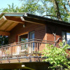 Modern treehouse glamping accommodation in Lucerne with balcony, surrounded by lush green trees.
