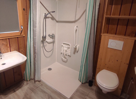 Accessible bathroom with walk-in shower, grab bars, fold-down shower seat, washbasin, and wall toilet.