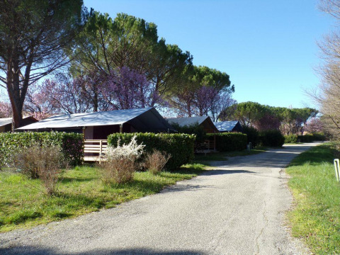 Safari-Zelt Freeflower auf Flower Camping Provence Vallée in Frankreich, umgeben von Bäumen und Sträuchern.