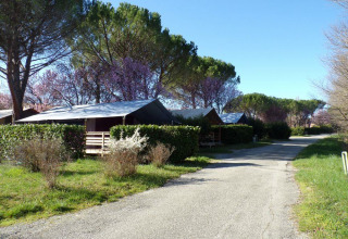 Safari-Zelt Freeflower auf Flower Camping Provence Vallée in Frankreich, umgeben von Bäumen und Sträuchern.