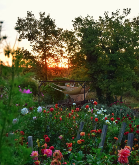 Tramonto tra alberi e giardino fiorito presso il Camping Les 3 Cantons, villaggio vacanze in Occitania, Francia.