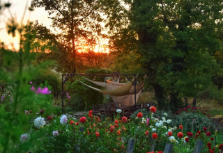 Sunset shines through trees over a blooming flower garden at Campsite Les 3 Cantons, Occitanie, France.