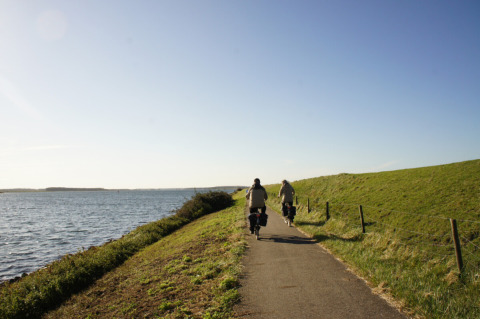 Due ciclisti percorrono una pista ciclabile vicino all’acqua e ai prati presso Wolphaartsdijk, Zelanda, Paesi Bassi.