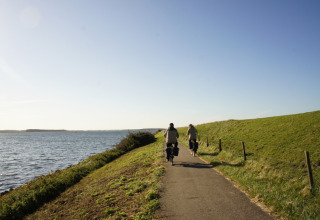 Due ciclisti percorrono una pista ciclabile vicino all’acqua e ai prati presso Wolphaartsdijk, Zelanda, Paesi Bassi.