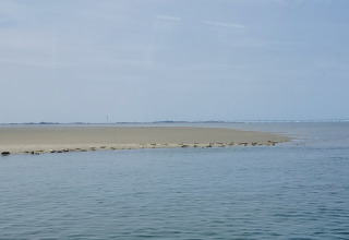 Tranquillo paesaggio marino vicino al campeggio de Haas in Zelanda, Paesi Bassi, con foche sulla sabbia.