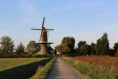 Foto di un mulino a vento olandese al Campeggio de Haas in Zeeland, Paesi Bassi, con campi verdi.