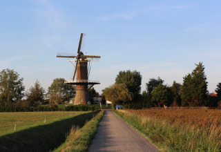 Foto di un mulino a vento olandese al Campeggio de Haas in Zeeland, Paesi Bassi, con campi verdi.