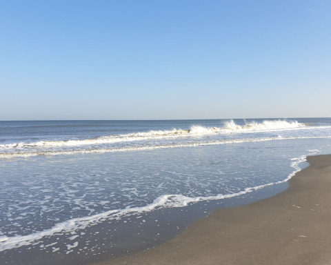Onde tranquille lambiscono la spiaggia vicino a Wolphaartsdijk, Zelanda, Paesi Bassi, sotto un cielo sereno.