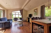 Modern eingerichtetes Wohnzimmer in der Hütte Comfort bei De Woudhoeve, Niederlande, mit Holzmöbeln und großen Fenstern.
