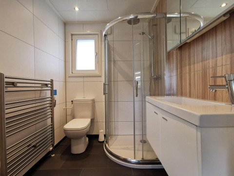 Modern bathroom with shower, toilet, and sink in Comfort cabin at De Woudhoeve in the Netherlands
