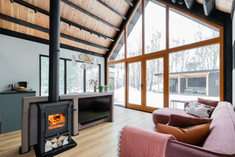 Woonkamer van Forest villa «De Bosburcht» met haard, grote ramen en sneeuwzicht bij De Kremmer.
