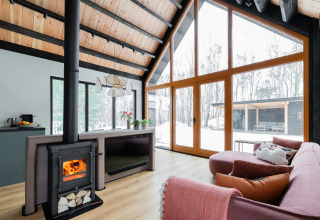 Woonkamer in Forest villa «De Bosburcht» met haard, grote ramen en winterzicht op De Kremmer.