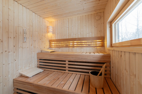 Moderne houten sauna met bank, emmer en raam in Forest villa «De Bosburcht» bij De Kremmer, Nederland.