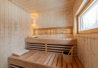 Moderne houten sauna met bank, emmer en raam in Forest villa «De Bosburcht» bij De Kremmer, Nederland.
