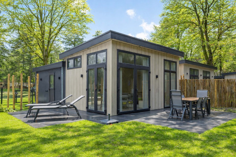 Bright Veldzicht lodge with modern patio, sun loungers, and outdoor dining, surrounded by lush trees.