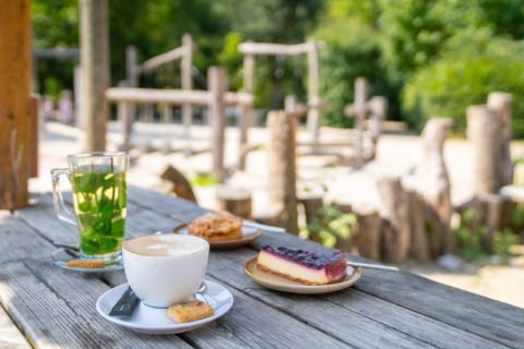 Café, thé et gâteau sur table en bois au parc de vacances Gooise Heide en Hollande-Septentrionale, Pays-Bas.