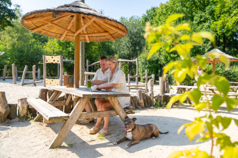 Pareja de vacaciones en Gooise Heide, Norte de Holanda, sentados en mesa de madera junto a su perro.