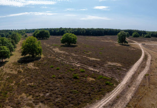 Panoramisk udsigt over et hedelandskab med stier og enkelte træer nær Huizen, Nordholland, Holland.