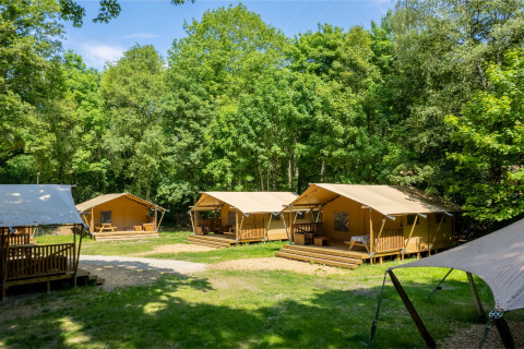 Tentes de glamping au parc de vacances Gooise Heide en Hollande-Septentrionale, entourées de forêt