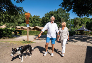 Couple senior promenant leur chien au soleil au parc de vacances Gooise Heide, en Hollande-Septentrionale.