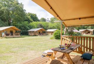 Glamping på Gooise Heide i Holland med luksustelte og udendørs siddepladser blandt grønne træer.