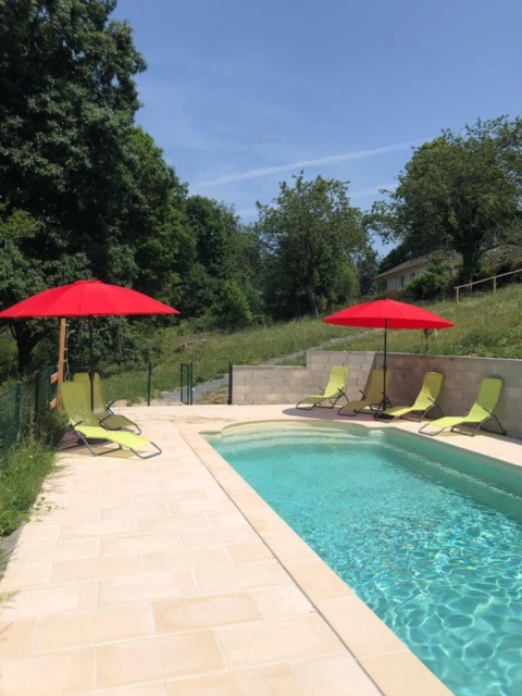 Buitenzwembad bij Domaine Le Faulion met rode parasols, groene ligstoelen en groene omgeving.