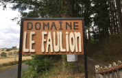Sign for Domaine Le Faulion, a holiday park in Bourgogne-Franche-Comté, France, set by a forested roadside.