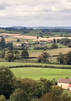 Landskab nær Cuzy i Bourgogne-Franche-Comté, Frankrig, med marker, træer og traditionelle bygninger.