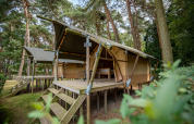Tenda safari Duo Lodge al Family park Goolderheide in Belgio, su palafitte tra alberi della foresta verde.