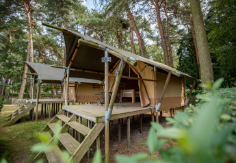 Safari-telt Duo Lodge på Family park Goolderheide i Belgien, omgivet af grønne træer i skovområdet.