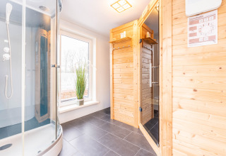 Bagno moderno e sauna in legno con doccia presso Villa «BushBush», De Kremmer, Paesi Bassi, vista luminosa.