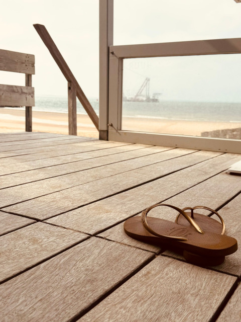 En brun klipklap på en træterrasse med udsigt over stranden og havet ved Dishoek, Zeeland, Holland.