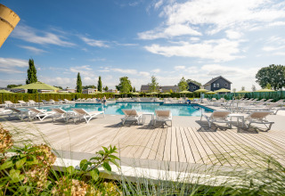 Buitenzwembad met ligstoelen en parasols aan Lodge Biesbosch in Resort Mooi Bemelen, Nederland.