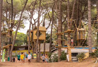 Kids and adults enjoy a treetop adventure course with wooden cabins among tall pine trees at a family campsite.