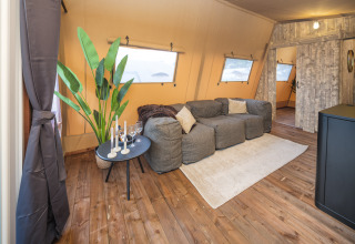 Acogedora sala en la Tribe lodgetent con sofás cómodos, planta verde y suelo de madera en los Países Bajos.