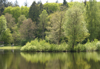 Reflejo de árboles verdes en lago junto a Safari tent de luxe en Camping 't Veld, Países Bajos, paisaje tranquilo.