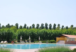 Piscina al aire libre con tumbonas, sombrillas y árboles verdes en Dune Agriturismo en Veneto, Italia.