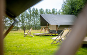 Safari tent with wooden deck and lounge chairs on a grassy field, surrounded by trees in nature.