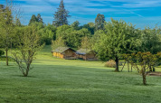 Foto van safaritent bij Camping Lestaubiere in Frankrijk, gelegen in groene weide met bomen.