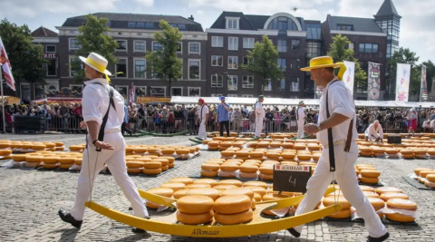 Traditionell gekleidete Männer tragen Käse beim berühmten Alkmaar-Käsemarkt, Publikum im Hintergrund.
