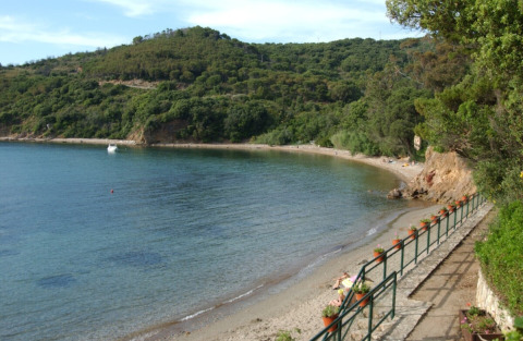 View of the beach and green hills at Campsite Rosselba le Palme in Tuscany, Italy, with clear blue water.
