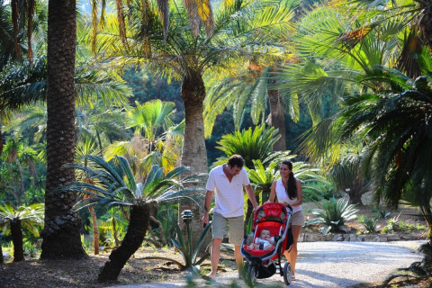Family walks with stroller surrounded by palm trees at Campsite Rosselba le Palme holiday park in Tuscany, Italy.